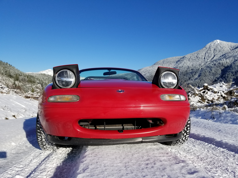 Illustration for article titled Miata vs. Wild